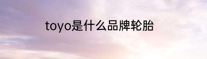 toyo是什么品牌轮胎