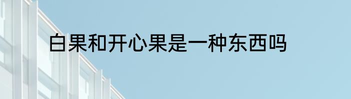 白果和开心果是一种东西吗