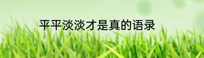 平平淡淡才是真的语录