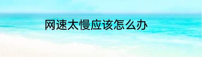 网速太慢应该怎么办