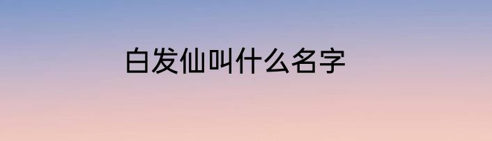 白发仙叫什么名字