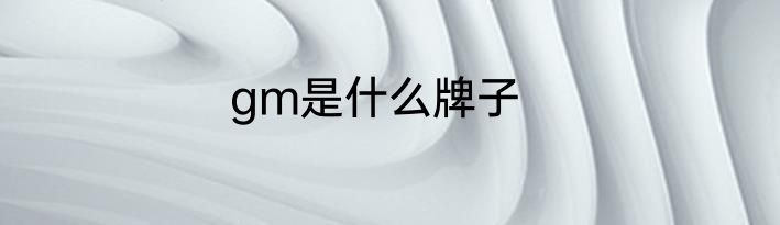 gm是什么牌子