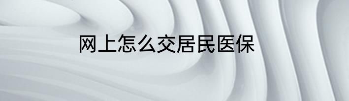 网上怎么交居民医保