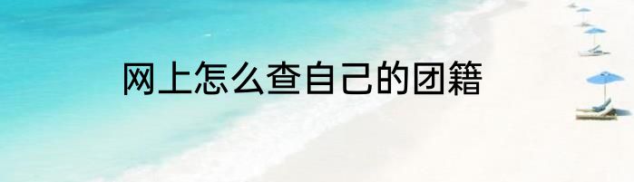网上怎么查自己的团籍