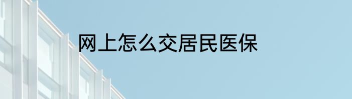 网上怎么交居民医保