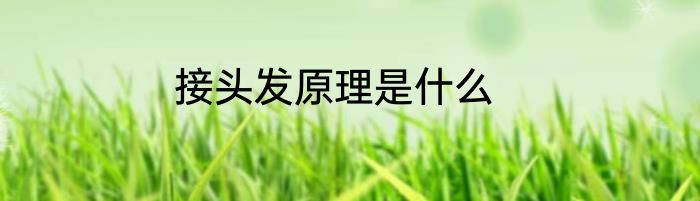 接头发原理是什么