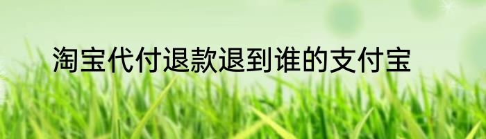 淘宝代付退款退到谁的支付宝