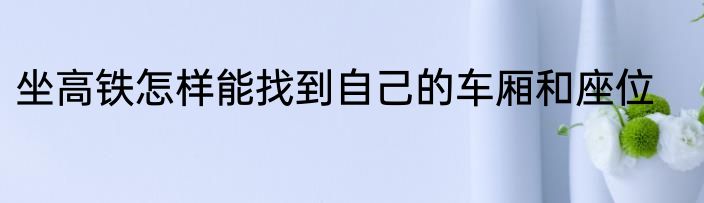 坐高铁怎样能找到自己的车厢和座位