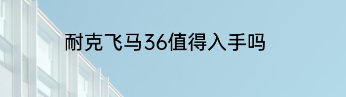耐克飞马36值得入手吗