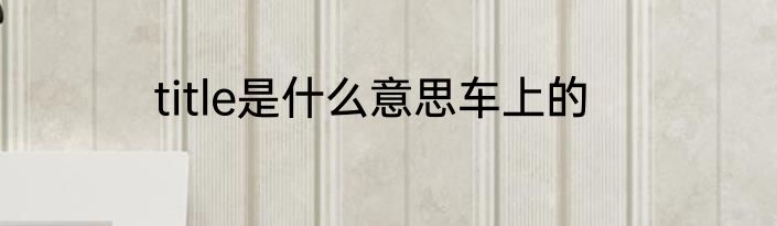 title是什么意思车上的
