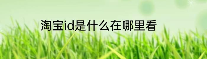 淘宝id是什么在哪里看