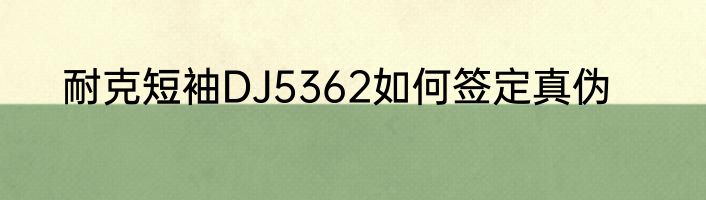 耐克短袖DJ5362如何签定真伪