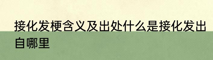 接化发梗含义及出处什么是接化发出自哪里