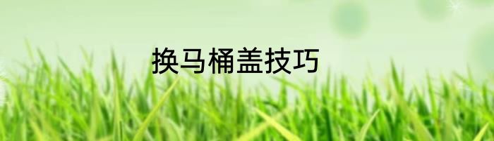 换马桶盖技巧