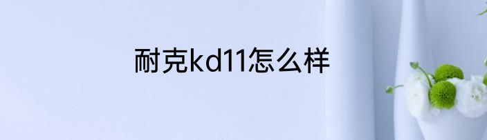 耐克kd11怎么样