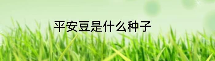 平安豆是什么种子