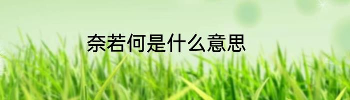 奈若何是什么意思