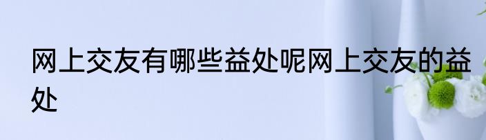 网上交友有哪些益处呢网上交友的益处