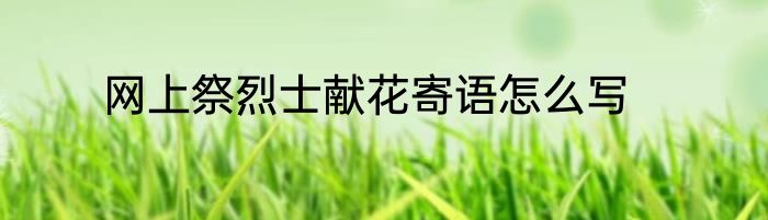 网上祭烈士献花寄语怎么写