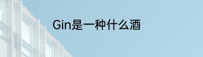 Gin是一种什么酒