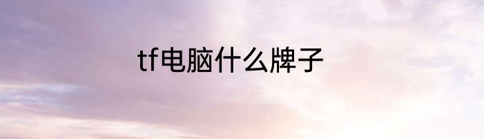 tf电脑什么牌子