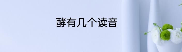 酵有几个读音