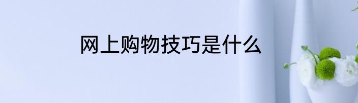 网上购物技巧是什么