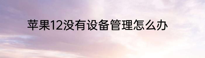苹果12没有设备管理怎么办