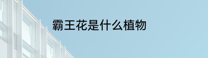 霸王花是什么植物
