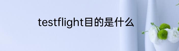 testflight目的是什么