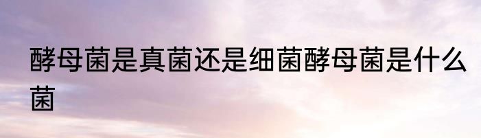 酵母菌是真菌还是细菌酵母菌是什么菌