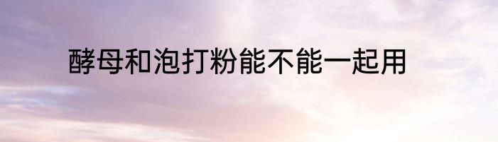 酵母和泡打粉能不能一起用