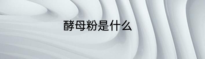 酵母粉是什么