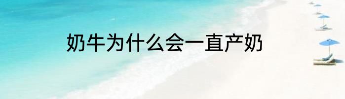 奶牛为什么会一直产奶
