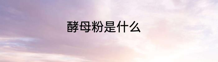酵母粉是什么