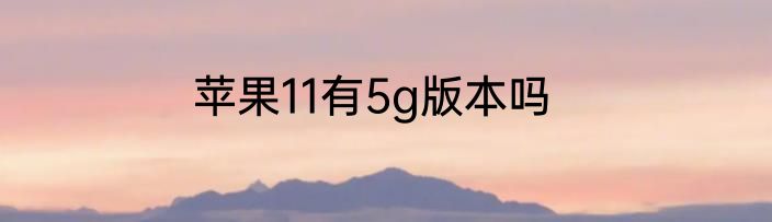 苹果11有5g版本吗