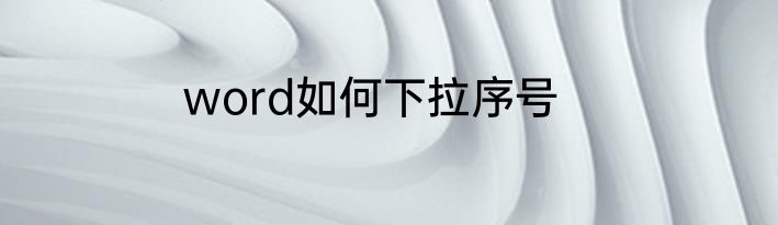 word如何下拉序号