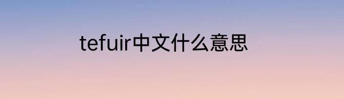 tefuir中文什么意思