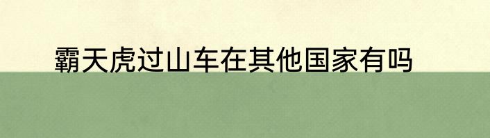 霸天虎过山车在其他国家有吗