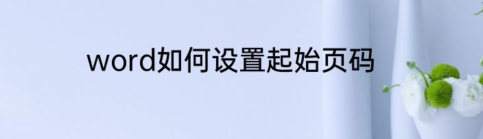 word如何设置起始页码