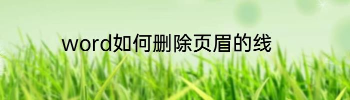 word如何删除页眉的线