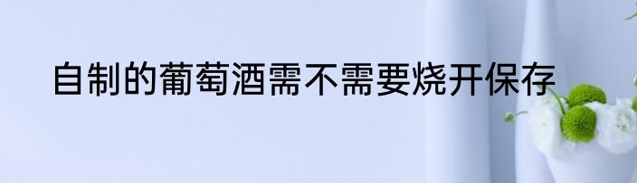 自制的葡萄酒需不需要烧开保存