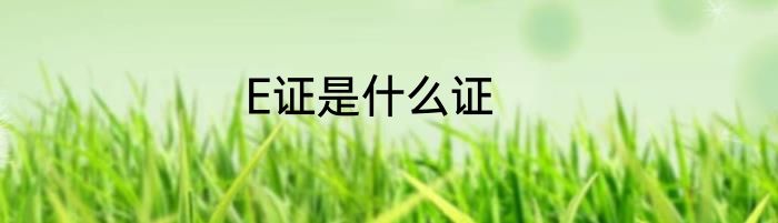 E证是什么证