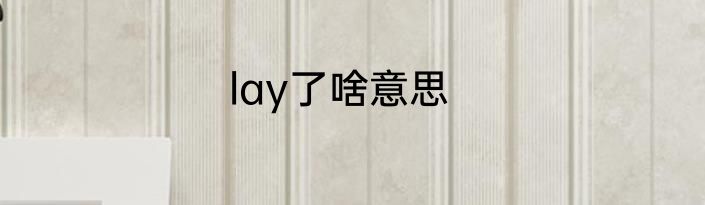 lay了啥意思