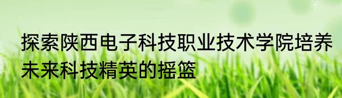 探索陕西电子科技职业技术学院培养未来科技精英的摇篮