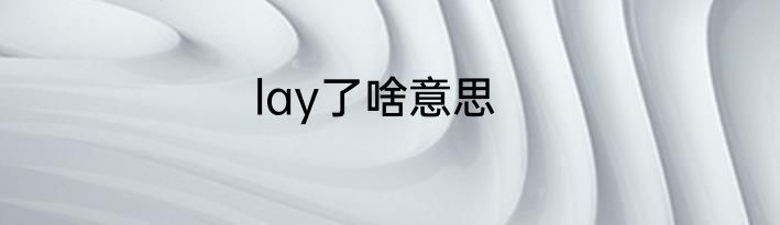 lay了啥意思