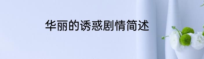 华丽的诱惑剧情简述