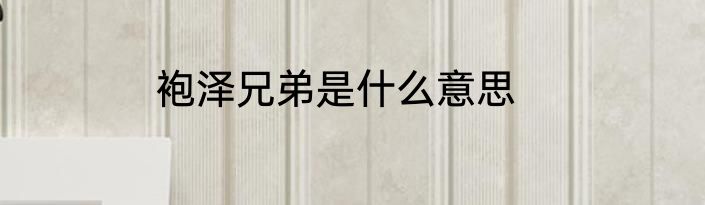 袍泽兄弟是什么意思