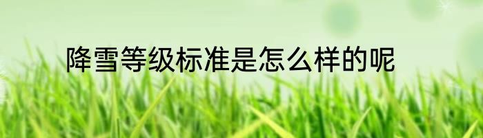 降雪等级标准是怎么样的呢