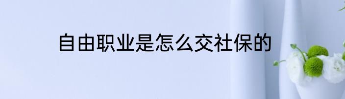 自由职业是怎么交社保的